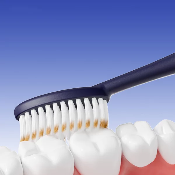 DentBen DB562 Ultra-Soft Toothbrush 6-Pack