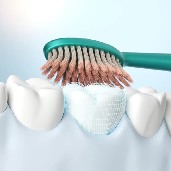 Sweetrip S293 Premium Wide-Head Toothbrush