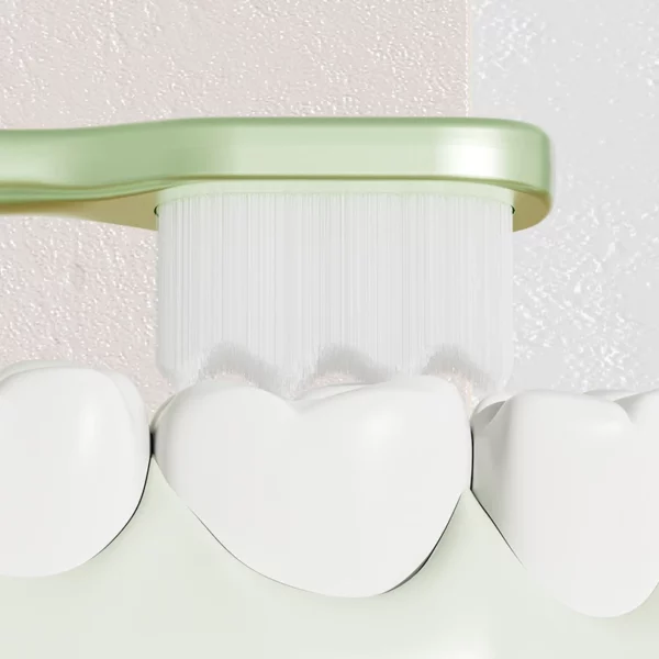 Sweetrip S291 Ultra-Soft Toothbrush