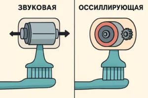 Звуковая или осциллирующая электрическая зубная щёткаосциллирующей электрической зубной щётки